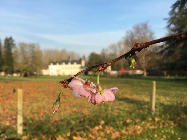 Chambre d’hôte pour 2 personnes, avec Terrasse ainsi que Jardin et Vue à Tournai