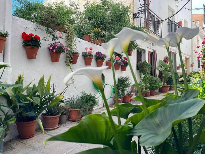 Apartamento para 4 personas, con terraza en Güejar Sierra