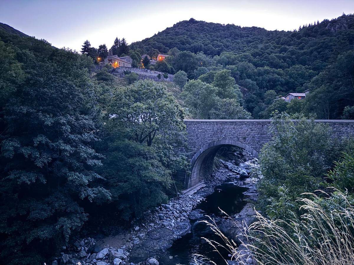 La myrtilleraie in Péreyres, Parc naturel régional des Monts d'Ardèche