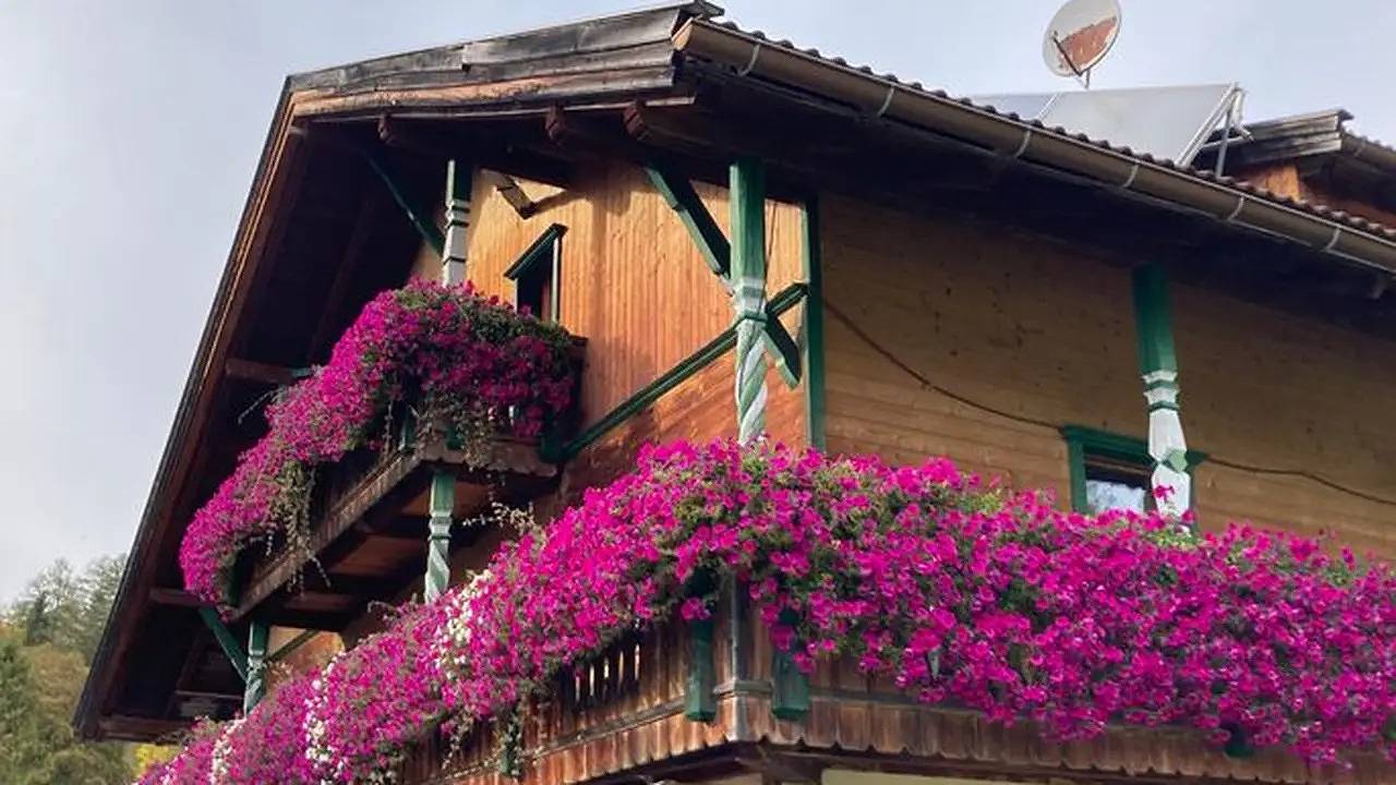 Ganze Ferienwohnung, Ferienwohnung für 2 Personen (25 m²) in Leutasch in Leutasch, Innsbruck Land