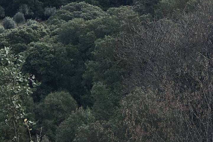 Location de vacances pour 4 personnes à Azilone-Ampaza