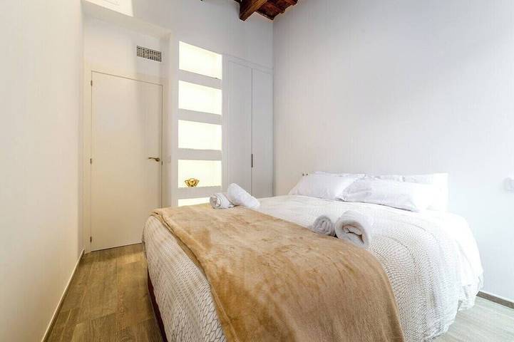 Apartamento entero, Cathedral Luxury Terrace Flat 2Br,2Ba, A\\C,Wifi in Valencia City Centre, Valencia