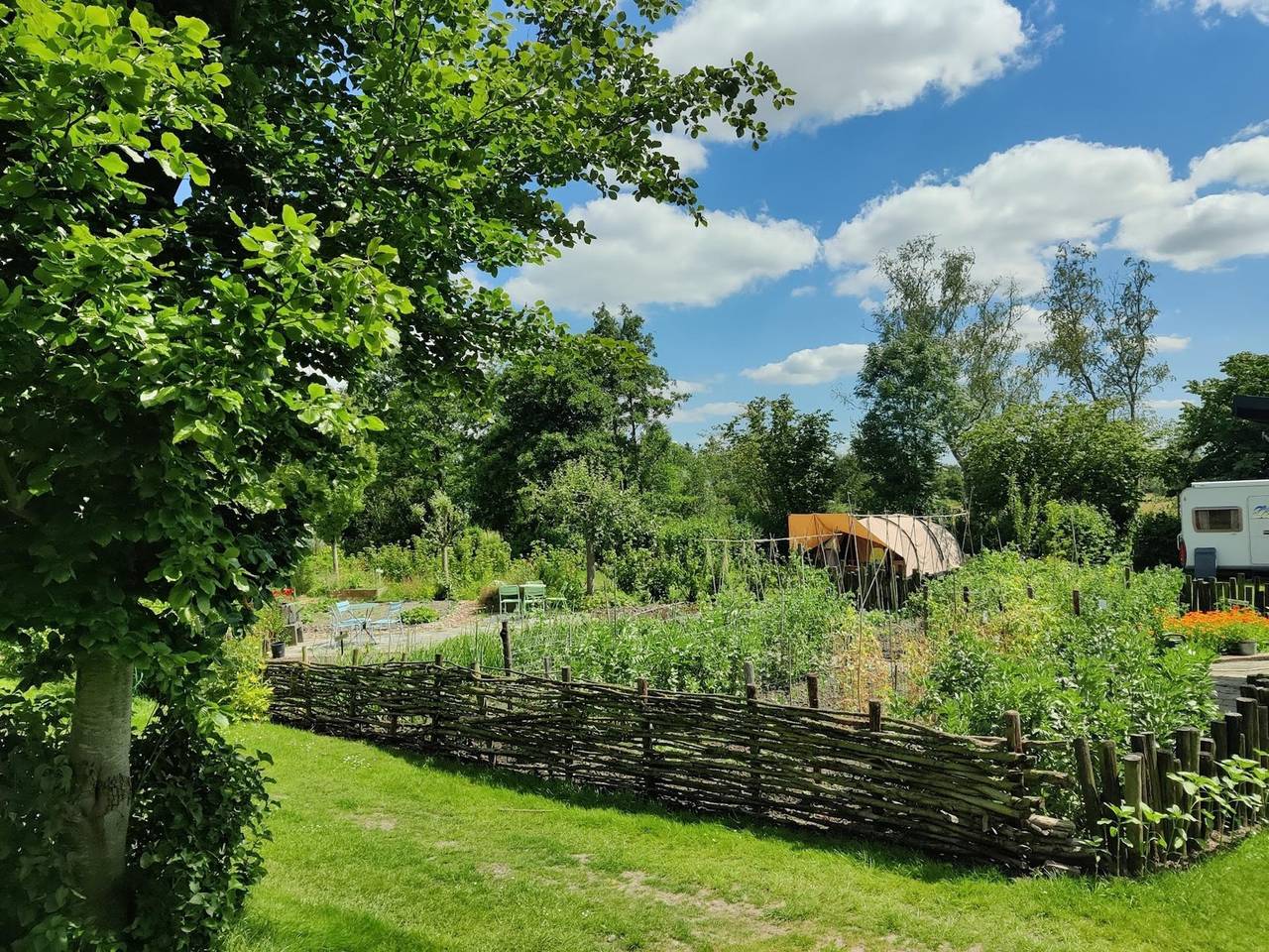 Hut in de natuur bij wandelpaden in Nationaal Park Weerribben-Wieden