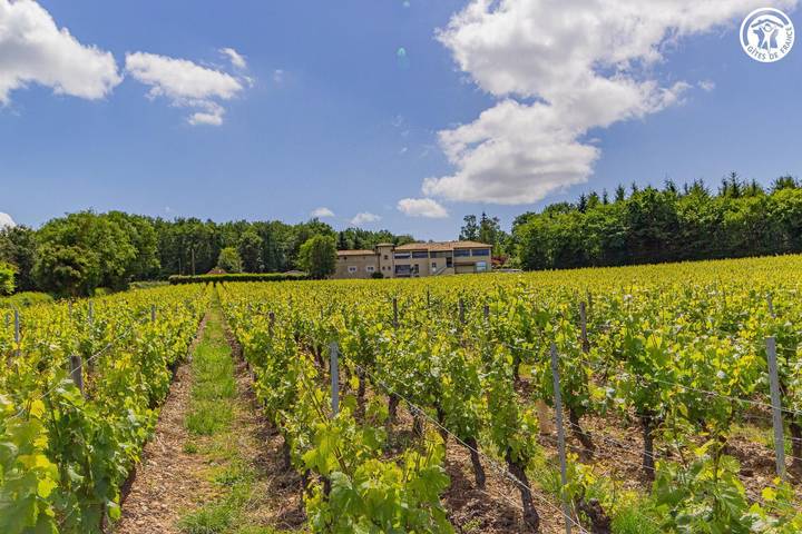 Le Clos des Vignes in Verzé, Mâcon und Umgebung