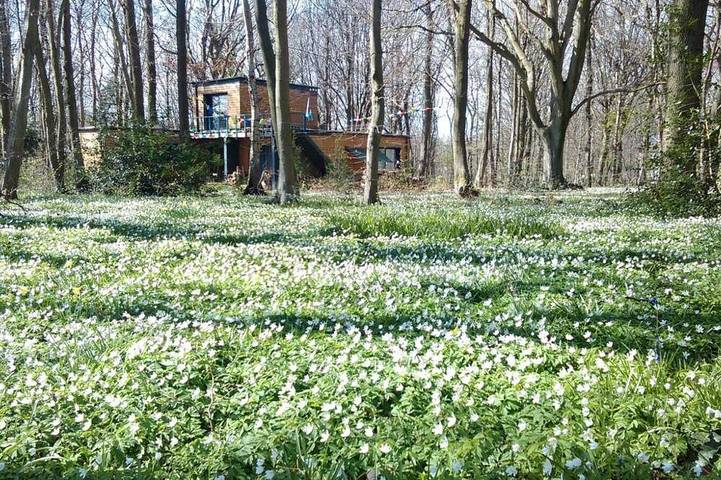 Maison de vacances pour 4 personnes, avec terrasse et jardin