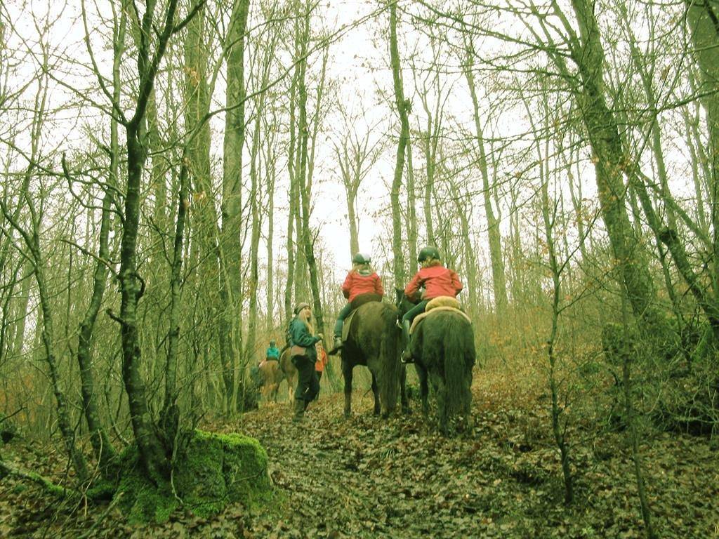 Entire holiday apartment, 4-Bettwohnung - Nichtraucher in Pronsfeld, Naturpark Hohes Venn-Eifel