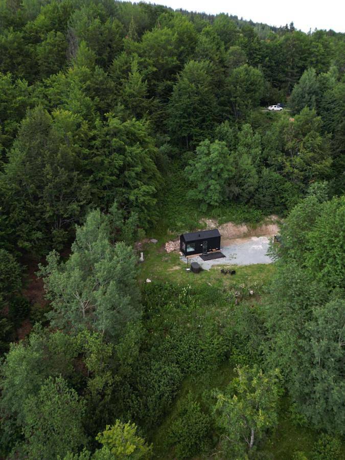 Togethernest - Ash in Alba (Romania)