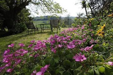Agriturismo per 12 Persone in San Casciano in Val di Pesa, Chianti, Foto 1