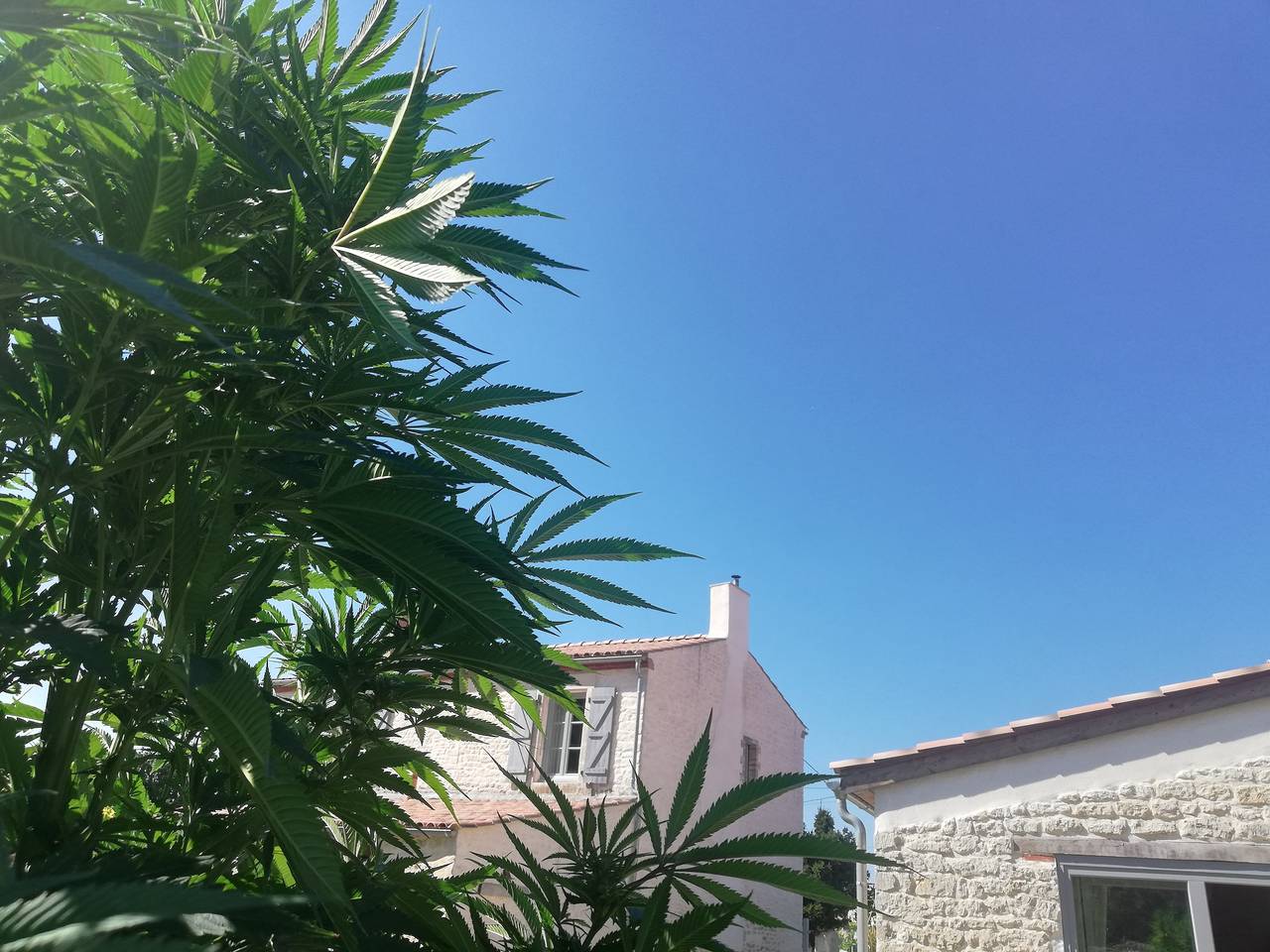 Landhaus Schöner-Schalk in Longeville-sur-Mer, Vendée