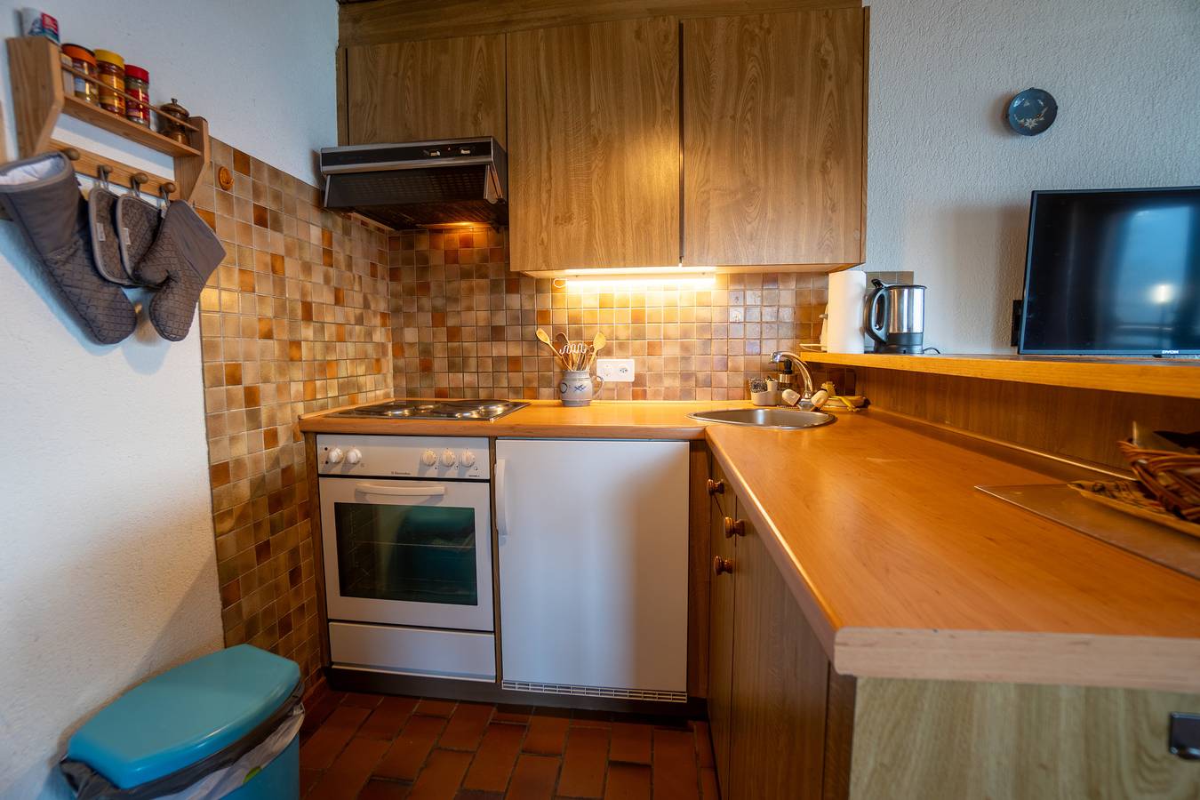 Geheel appartement, Chavonnes 21 in Gryon, Alpes Vaudoises