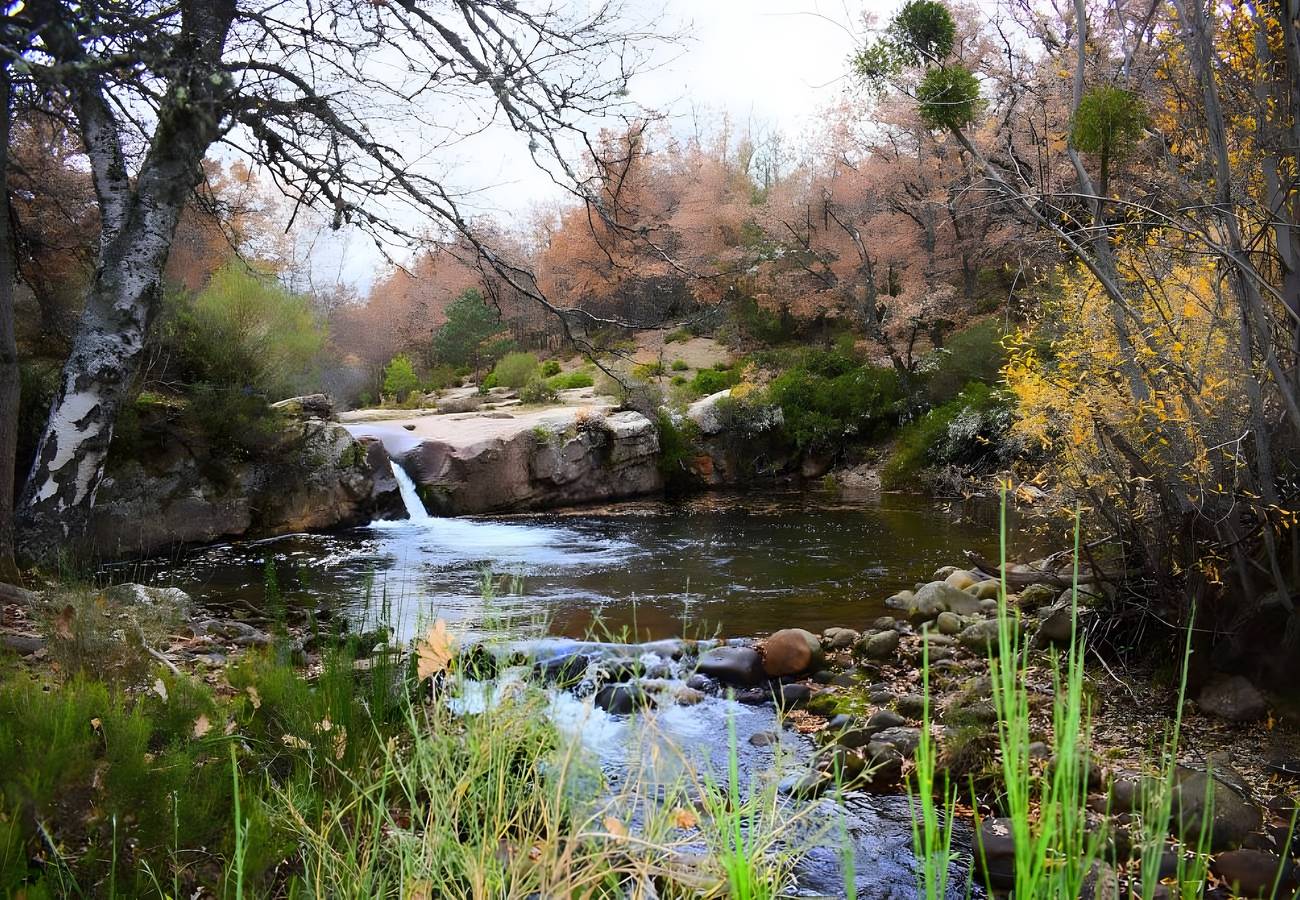 Landelijk Verblijf in Soria met Uitzicht op de Bergen, Terras en Natuur, foto 11