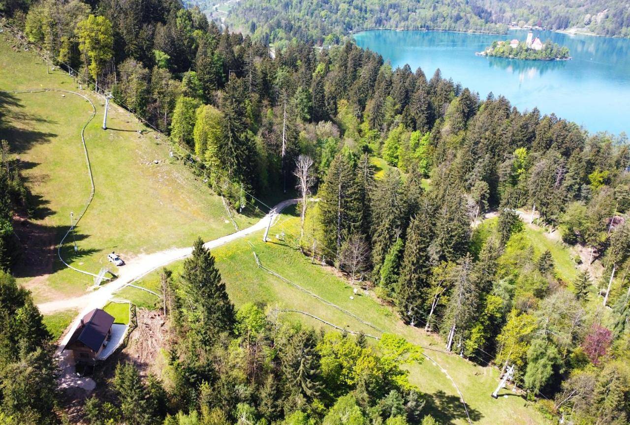 Cały apartament, Bled Straza House in Bled, Park Narodowy Triglav