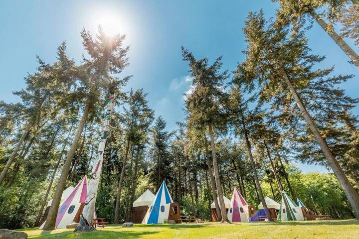 Vakantiehuis voor 6 personen, with Terras and Tuin as well as Zwembad and Uitzicht in Sint Anthonis