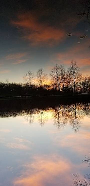 Log Cabin for 8 Guests in Ohio, USA, Picture 3