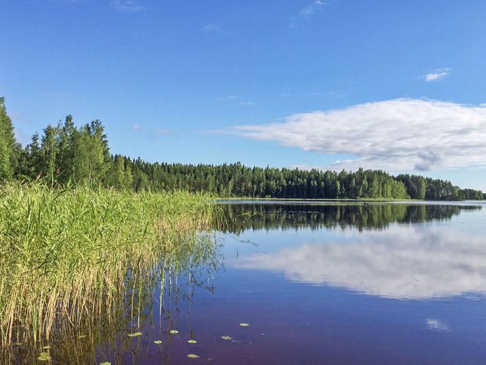 Tyynelä in Pirkanmaa