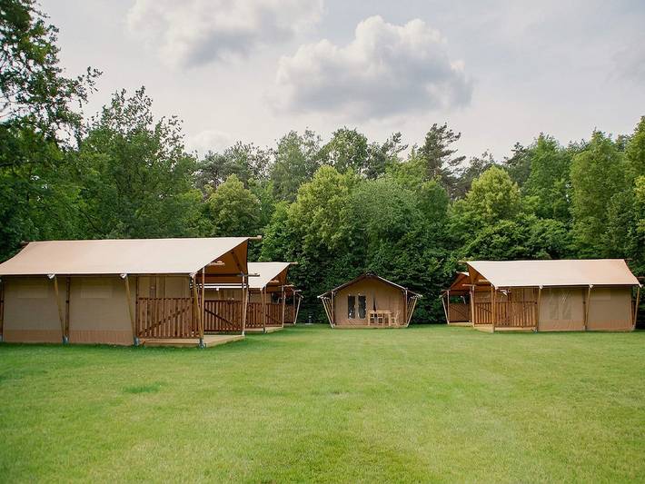 Ganze Wohnung, Nature-Infused Stay, Turnhout in Turnhout, Antwerpen und Umgebung
