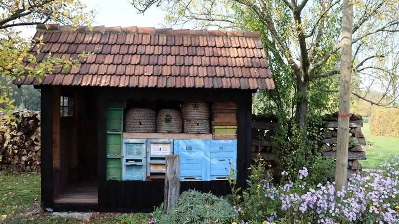 Ganze Ferienwohnung, Ferienwohnung für 2 Personen (38 m²) in Burg (Spreewald) in Byhleguhre, Byhleguhre-Byhlen