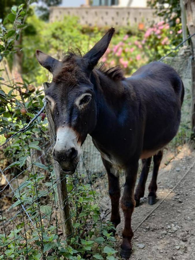 Gîte pour 5 personnes, avec terrasse et jacuzzi à Gerde (homonymie) - 2