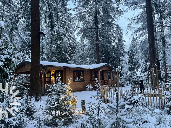 Vakantiehuis voor 4 personen, met terras en tuin in Emst