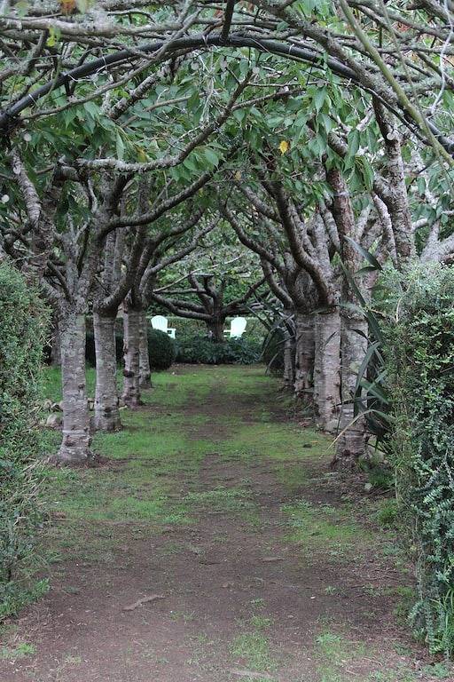Te Horo Garden Cottage in Kapiti Coast District