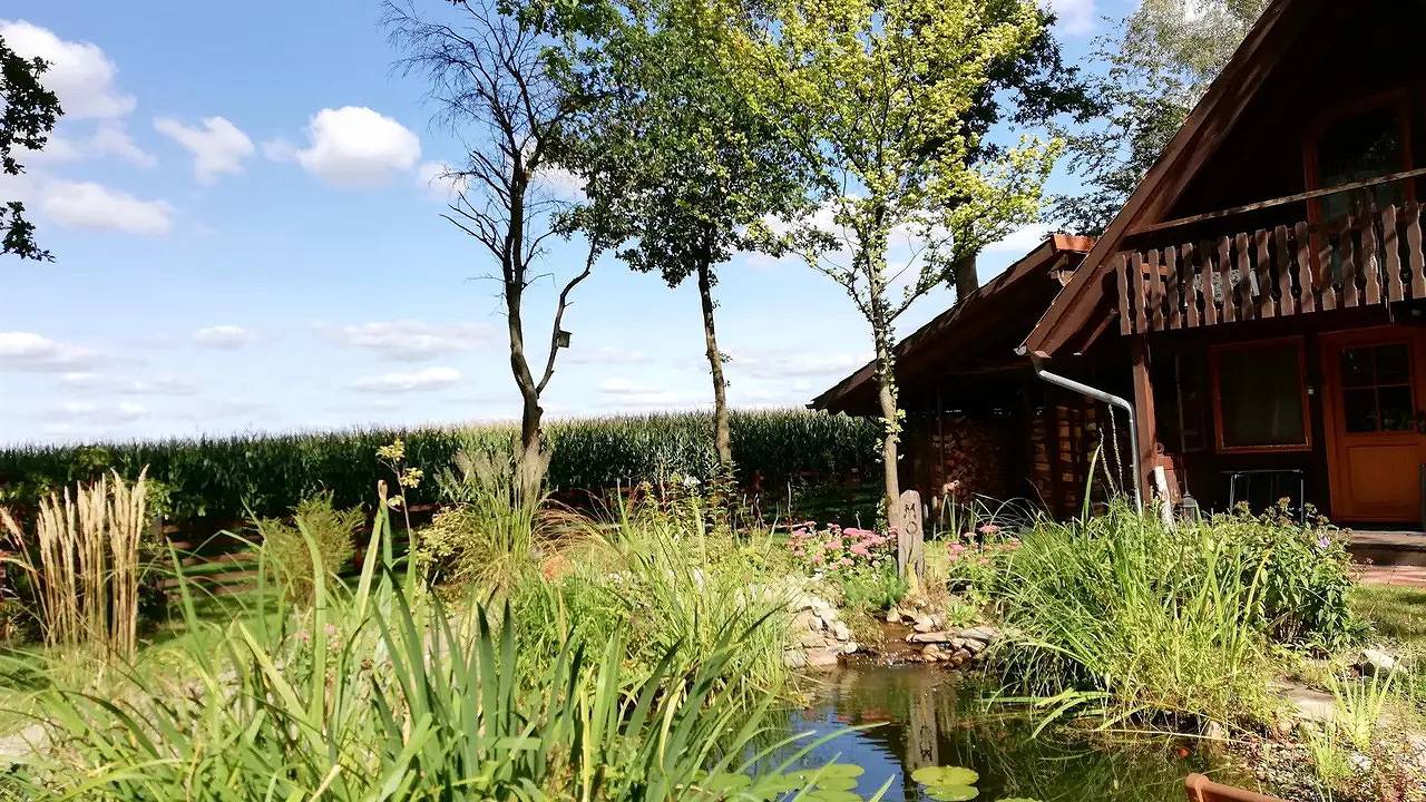 Vakantiehuis voor 2 personen met terras, foto 8