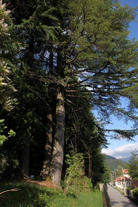Gîte pour 5 personnes, avec jardin et vue à Craveggia - 4