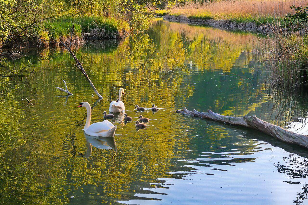 Ganze Ferienwohnung, Ferienwohnung Böck in Immenstadt, Bayerisch Schwaben