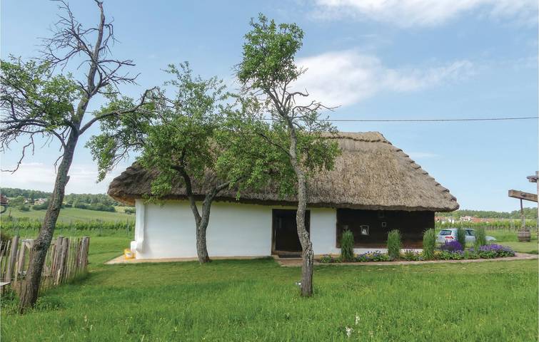Ferienhaus für 6 Personen, mit Garten, kinderfreundlich in Österreich - 3