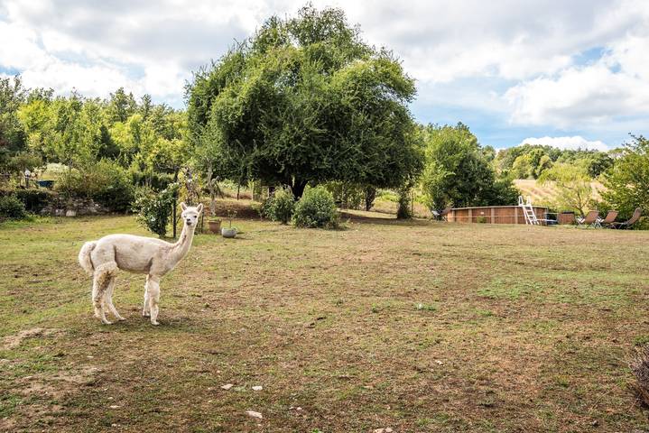 Appartamento intero, Appartamento di vacanza 'Lavanda' con vista sulle montagne, piscina condivisa e Wi-Fi in Montieri, Provincia di Grosseto