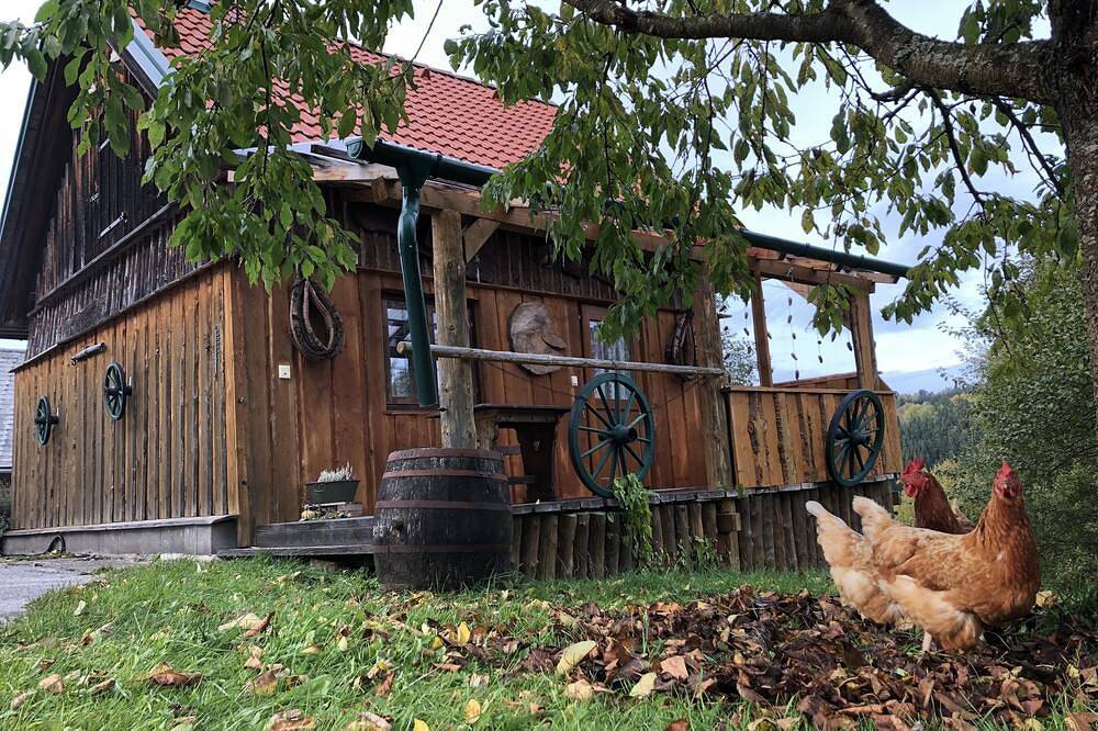 Gemütliches, rustikales Ferienhaus in traumhafter Lage in Bezirk Zwettl