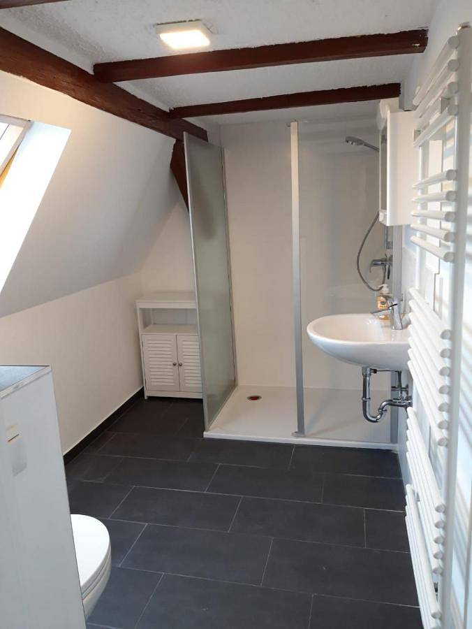 Ganze Wohnung, Seyfarthrooms - Crimmitschau 4 - 110qm, über 2 Etagen, zentral gelegen in Crimmitschau, Chemnitz und Umgebung