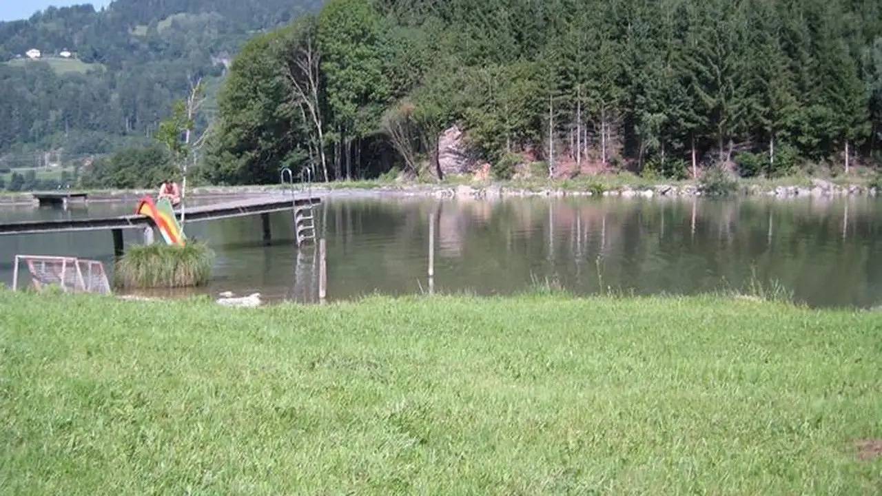 Ganze Ferienwohnung, Ferienwohnung für 4 Personen (80 m²) in Dürnstein in der Steiermark in Neumarkt in Steiermark, Mittelkärnten