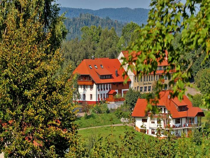 Bauernhof für 4 Personen, mit Balkon im Südschwarzwald