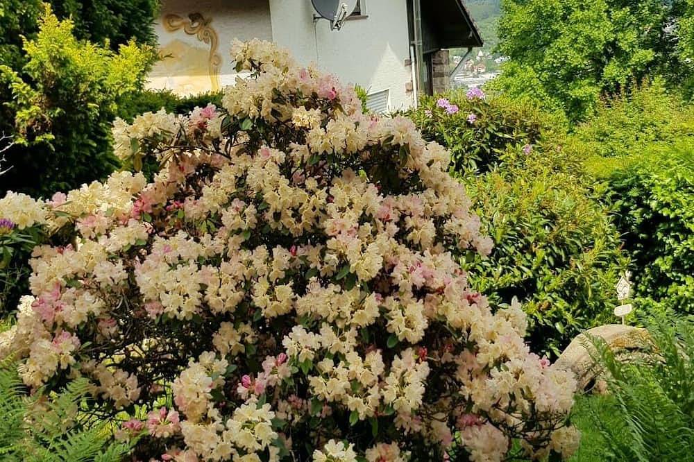 Chillhaus imgarten in Witzenhausen, Werratal