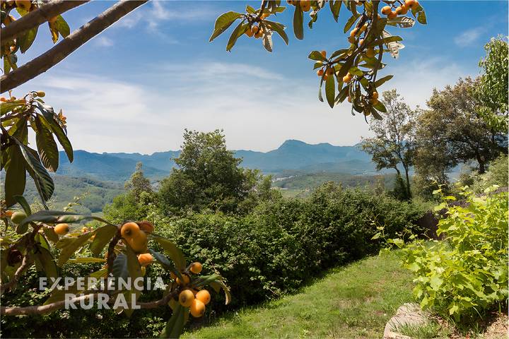 Casa de vacaciones para 14 personas, con jardín en Garrotxa - 4
