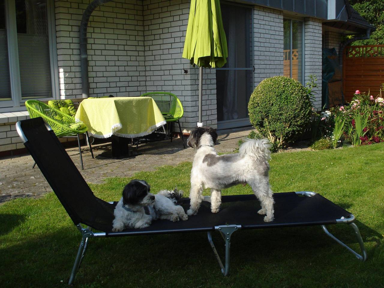 Ganze Ferienwohnung, Ebenerdige Ferienwohnung Witt Hus in St. Peter-Ording, Eiderstedt
