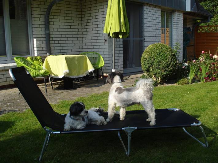 Ganze Ferienwohnung, Ebenerdige Ferienwohnung Witt Hus mit Garten & Hund in St. Peter-Ording, Eiderstedt