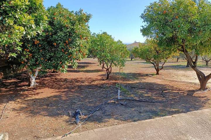 Cr Los Olivos in Hornachuelos, Provincia de Córdoba