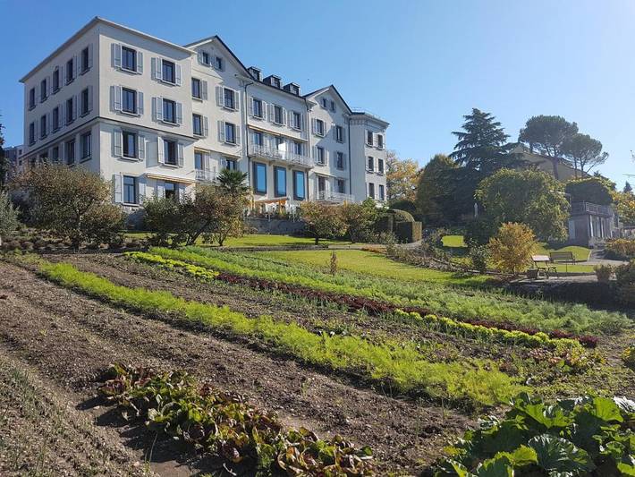 Hôtel pour 3 personnes, avec jardin à La Tour-de-Peilz - 4