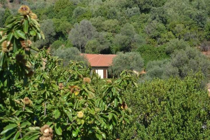 Casa vacanza per 4 persone, con giardino - 1