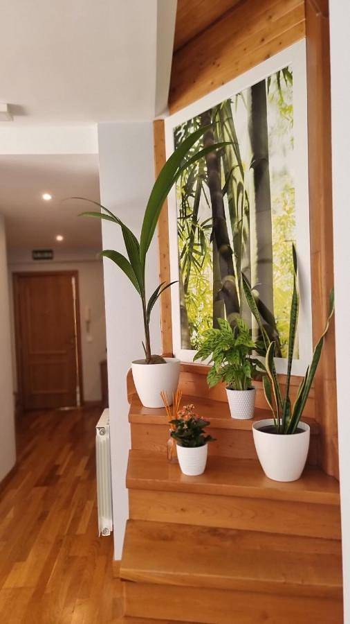 Casa rural para 5 personas, con Balcón además de Jardín y Vistas en Mogro - 3