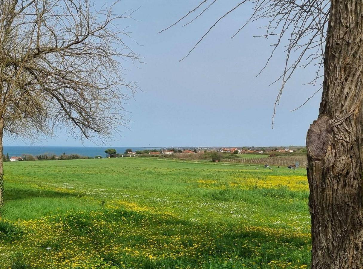 Ganze Wohnung, Spacious Urban Retreat Apartment with Terrace in Dajla, Umag und Umgebung