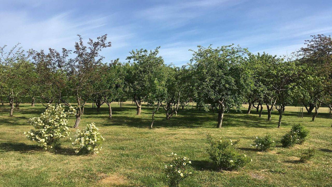 Ferienhaus für 8 Personen (115 m²) in Storvorde in Egense, Limfjord in Nordjütland