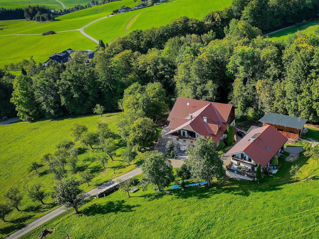Bio Bauernhof Mondsee Schafleitner-Kroiß - Dachsteinblick in Traunviertel