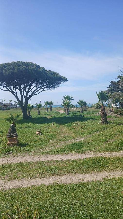 Casa rural para 11 personas, con vistas y jardín, Se admiten mascotas en Zahora - 2