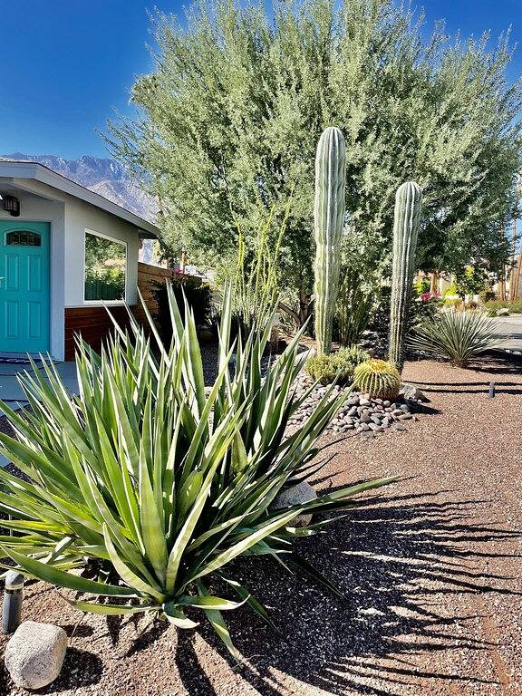 Vacation house for 6 people, with hot tub and yard, with pets in Palm Springs
