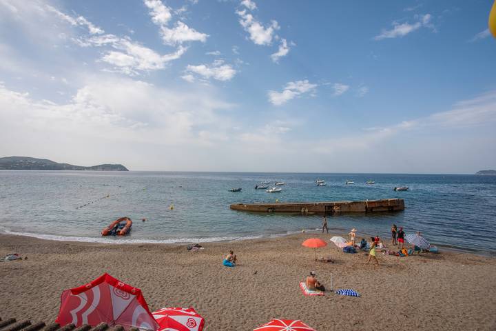 Gîte pour 3 personnes, animaux acceptés dans Plage du Pin de Galle - 4