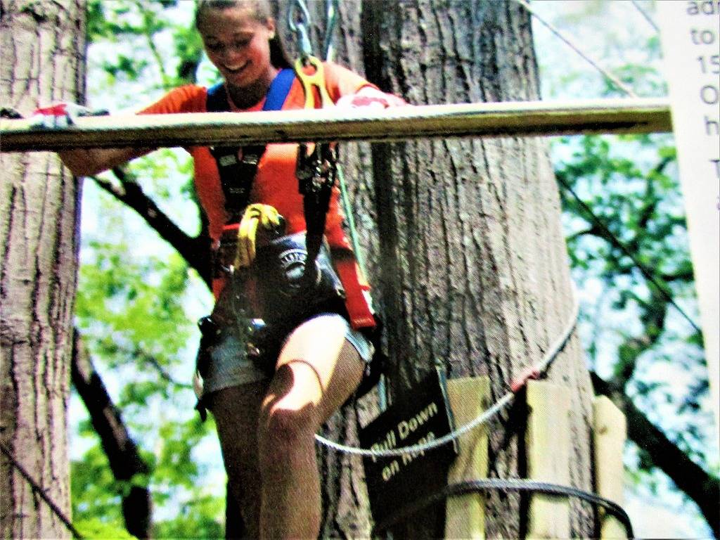 Alpine Log Cabin / Cosy, Komfortable, Moderne / Blue Ridge Berge In Der Nähe Von Boone N. C. in Blue Ridge Parkway, Seven Devils