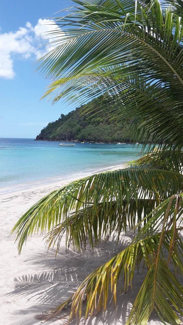 Gîte pour 2 personnes, avec jardin et vue, animaux acceptés à Les Anses-d'Arlet - 3