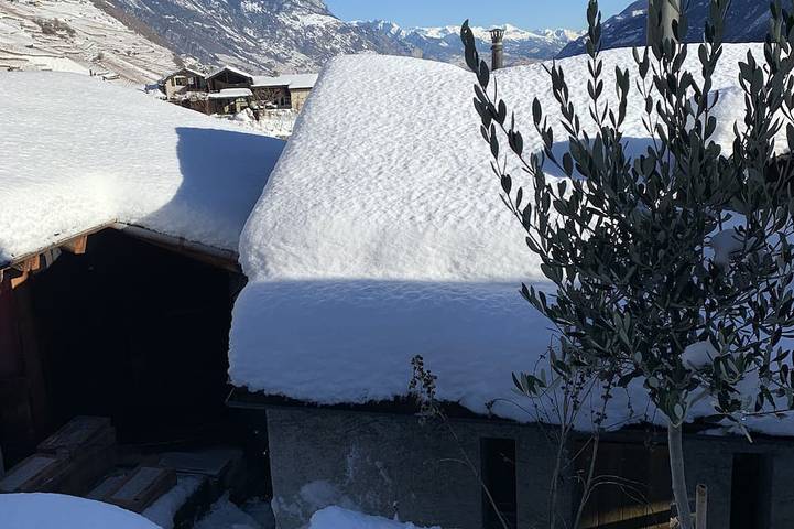 Chalet für 2 Personen, mit Garten und Terrasse - 1